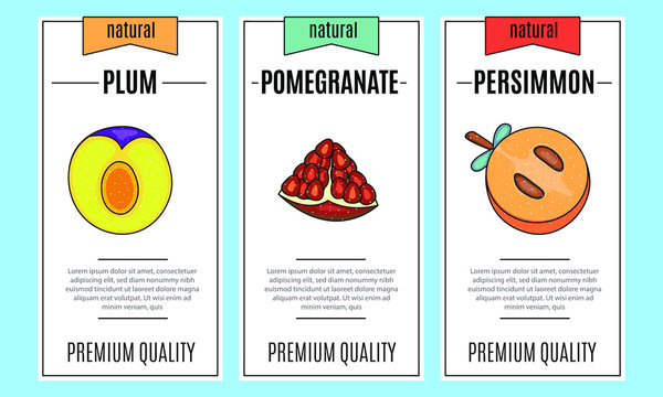 Fresh fruit banner set. Slice of pomegranate, plum, persimmon. Vector stock illustration. Food and drink design.  