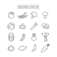 VEGETABLE ICON SET