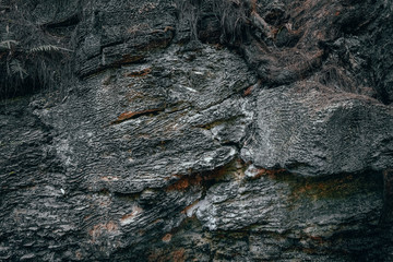 close up picture of the rock
