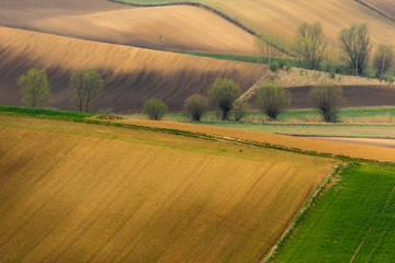 Spring fields in Ponidzie in Poland- fields near Kielce and Krakow. 