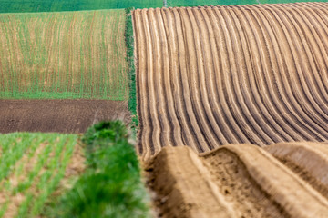 Spring fields in Ponidzie in Poland- fields near Kielce and Krakow. 