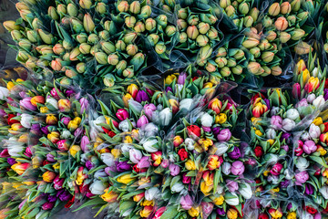 Bouquets of multicolor tulips on street flower market