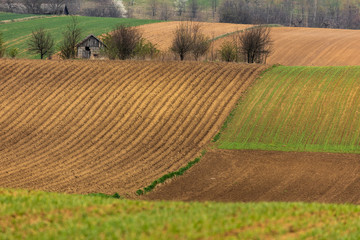 Spring fields in Ponidzie in Poland- fields near Kielce and Krakow. 