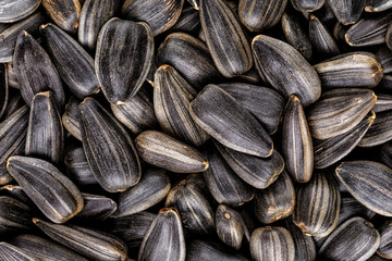 Black sunflower seeds, square organic background. For texture or background. top view