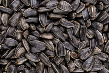 Black sunflower seeds, square organic background. For texture or background. top view