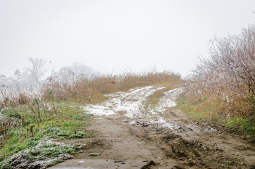 Forest road on the canal bank 
