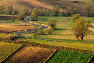 Fototapeta premium Spring fields in Ponidzie in Poland- fields near Kielce and Krakow. 