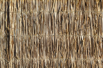 Old reeds bound together for use as a backdrop