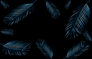 Palm leaf on black background with place for your text