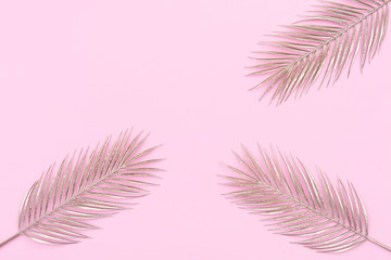 Palm leaf on pink background with place for your text