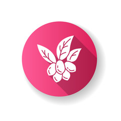 Jojoba pink flat design long shadow glyph icon. Fruits with leaves. Botany. Brazilian exotic plant. Miracle fruit. Сosmetic oil production. Silhouette RGB color illustration