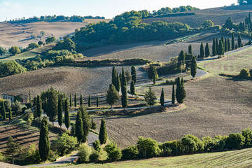 Road with curves and cypresses in Tuscany, Italy