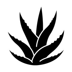 Succulent black glyph icon. Aloe vera sprouts. Cactus leafs. Growing medicinal herb. Decorative plant. Ingredient for organic cosmetic. Silhouette symbol on white space. Vector isolated illustration