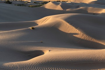 The Little Sahara sand dunes
