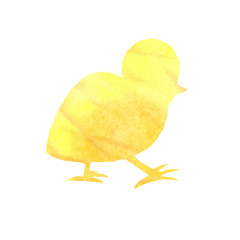 Little running chicken for a light Easter holiday. Watercolor hand drawn illustration
