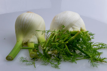 Der Fenchel ist die einzige Pflanzenart der Gattung Foeniculum innerhalb der Familie der...