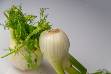 Der Fenchel ist die einzige Pflanzenart der Gattung Foeniculum innerhalb der Familie der...