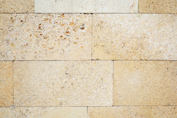 Brickwork of a shell rock. Stone porous texture with splashes of shell rock. Background structure.