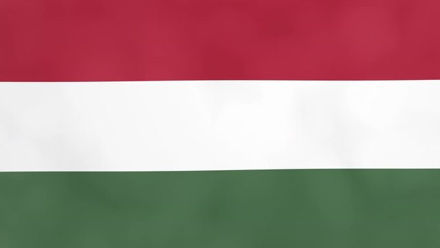 Hungarian Flag of Hungary isolated alpha channel and luma matte