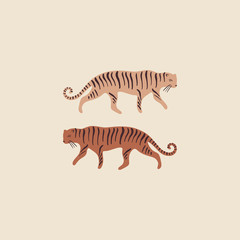 Fototapeta na wymiar Set of funny tigers couple different colors. Walking wild cat. Good for summer sale, social media promotional content, kids t-shirt. Isolated animals. Vector illustration.