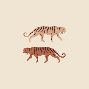 Set of funny tigers couple different colors. Walking wild cat. Good for summer sale, social media promotional content, kids t-shirt. Isolated animals. Vector illustration.