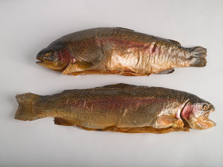 Hot smoked rainbow river trout on a white background