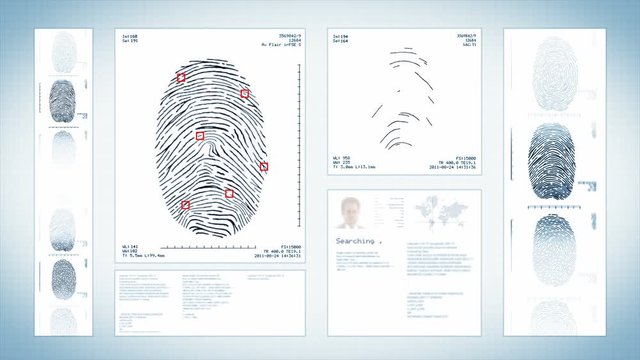 Fingerprint security interface. Scanner searching and analyzing several fingerprints in a database. Technology verification and authentication. White.