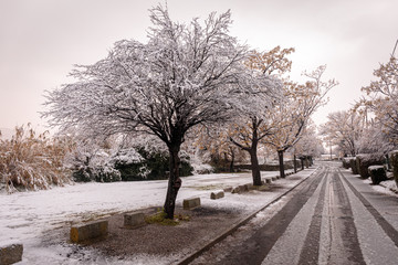 Hiver 66