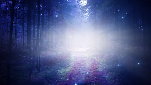 Mystic violet foggy light with firefly animation on dreamy forest path.