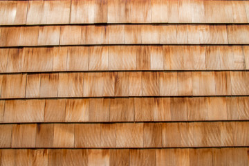 Wooden clapboard on the side of a house