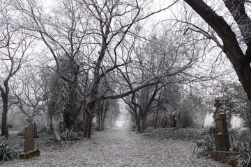 Old graveyard in winter day