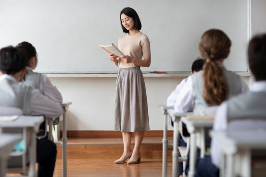 Young teacher teaching a class