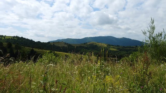 mountain landscape with the wild flowers growing on a green grassland and clouds floating abobe the green hills