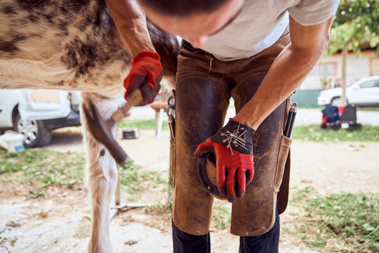 Cropped unrecognizable farrier boy changing horseshoe in the stable