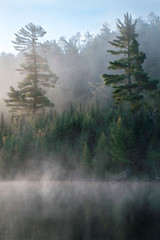 Foggy Morning in the BWCA