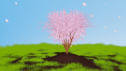 Fototapeta premium 野原に咲く一本桜