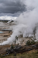 NORRIS GEYSER BASIN