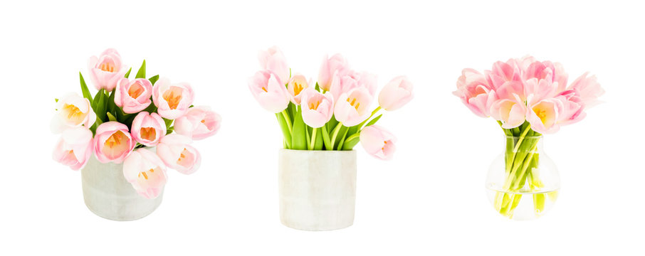 Set of three pink tulips bouquets in flower vase isolated over white background