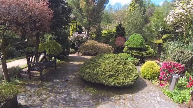 Beautiful conifer garden in Spring, HD video 