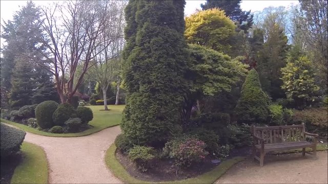 A beautitul conifer garden in Spring