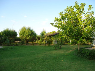 Extensive park with regional trees and green grass that can be seen from the main window of the cottage