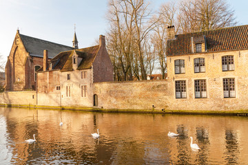 Fototapeta na wymiar Swans swimming in the Lake of Love by the the Beguinage of Bruges (Benedectine monastery) in historic Bruges, Belgium