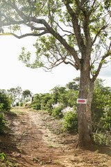 Recreational motocross track crossing the coffee plantation in the mountains of the interior of Minas Gerais, Brazil.