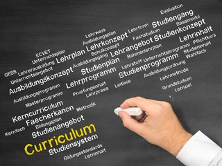 Curriculum
