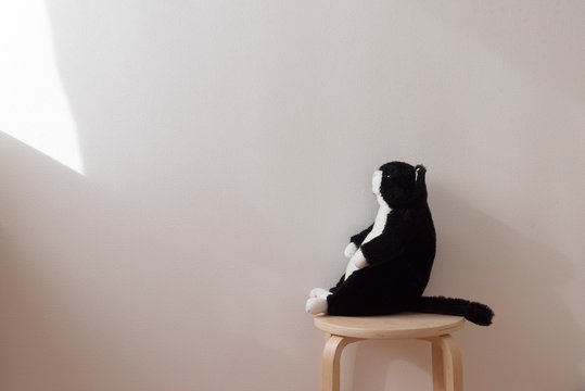 横向きの黒猫のぬいぐるみ 横 白背景 自然光 窓 １ ひとり 一匹 ねこ ネコ 猫 窓辺 窓 明るい 昼間 椅子 座る 上を向く 見上げる コピースペース ホワイトスペース 文字スペース グラフィック素材 背景 背景素材 Stock 写真 Adobe Stock