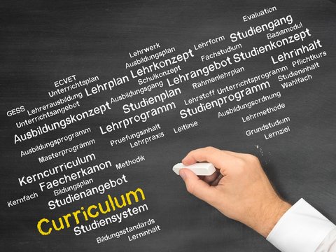 Curriculum