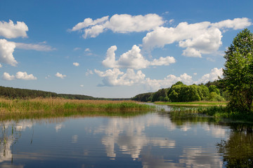 Fototapeta na wymiar Summer lake landscape, nature background.