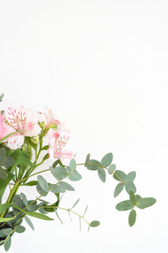 ピンクの花とユーカリ　ピンク系の花とグリーン　花　植物　アップ　　ピンク　グリーン　白い花瓶とピンク系の花　おしゃれ　アレンジ　春　季節　自然光　光　明るい　白い壁　白背景　フラワーアレンジメント　インテリア写真　春の花　家　白バック