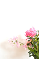 Obraz na płótnie Canvas シンプルな花瓶とピンク系の花　ピンク系の花とグリーン　部屋　白壁　白背景　室内　屋内　自然光　余白　ホワイトスペース　コピースペース　文字スペース　縦　背景素材　背景　グラフィック素材　　白　緑　ピンク　春　季節　スイートピー