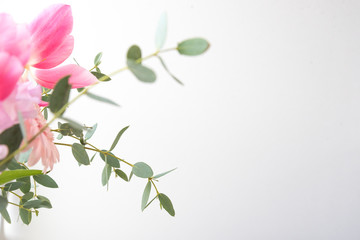 ピンク系の花とグリーン　ユーカリ　植物　部屋　白壁　白背景　室内　屋内　自然光　余白　ホワイトスペース　コピースペース　文字スペース　縦　背景素材　背景　グラフィック素材　　白　緑　ピンク　春　季節　スイートピー